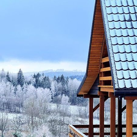 Osada Sierpnica - Uroczy Dom Z Kominkiem I Balia W Gorach Sowich Esterno foto