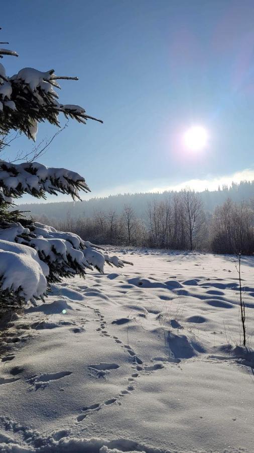 Osada Sierpnica - Uroczy Dom Z Kominkiem I Balia W Gorach Sowich Esterno foto